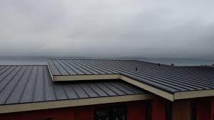 Best Rubber Roofing (EPDM, TPO)  in Garwood, NJ